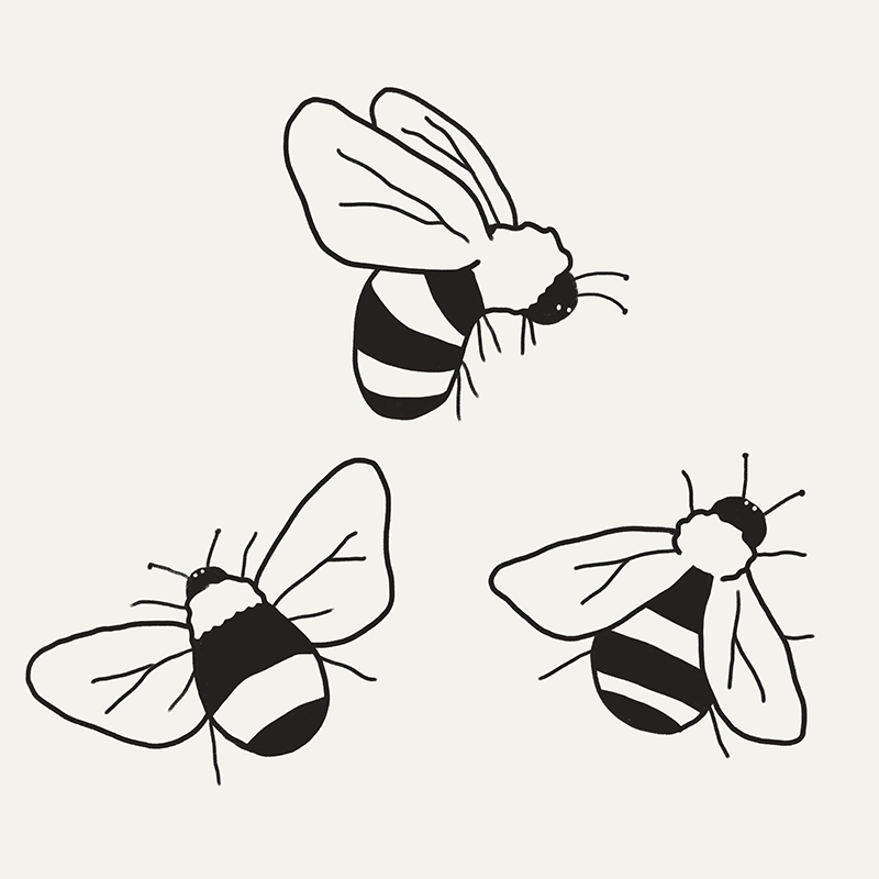 Illustration of three bees.