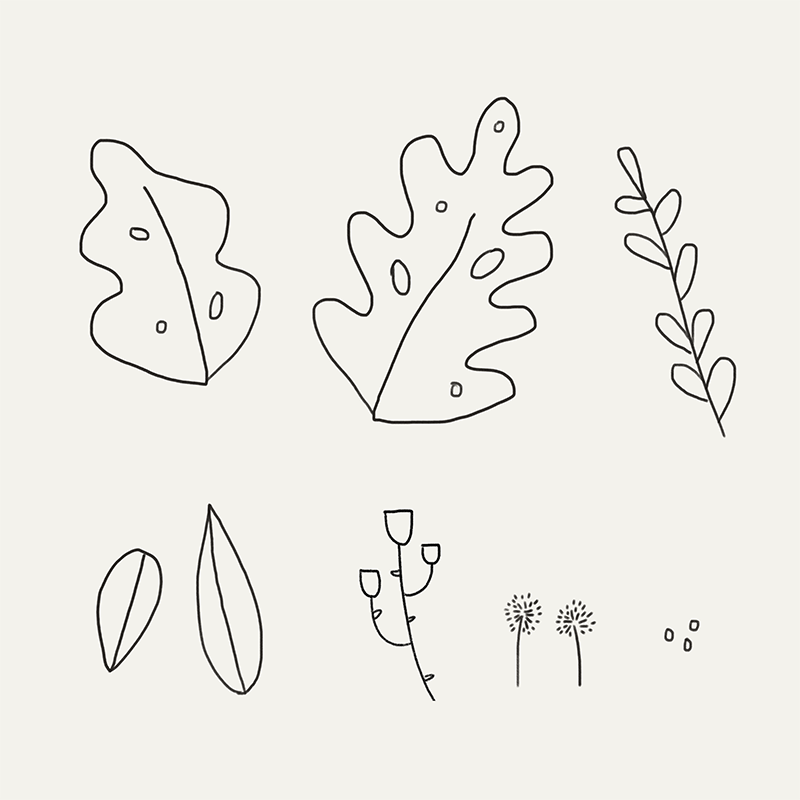 Illustration of various plants.